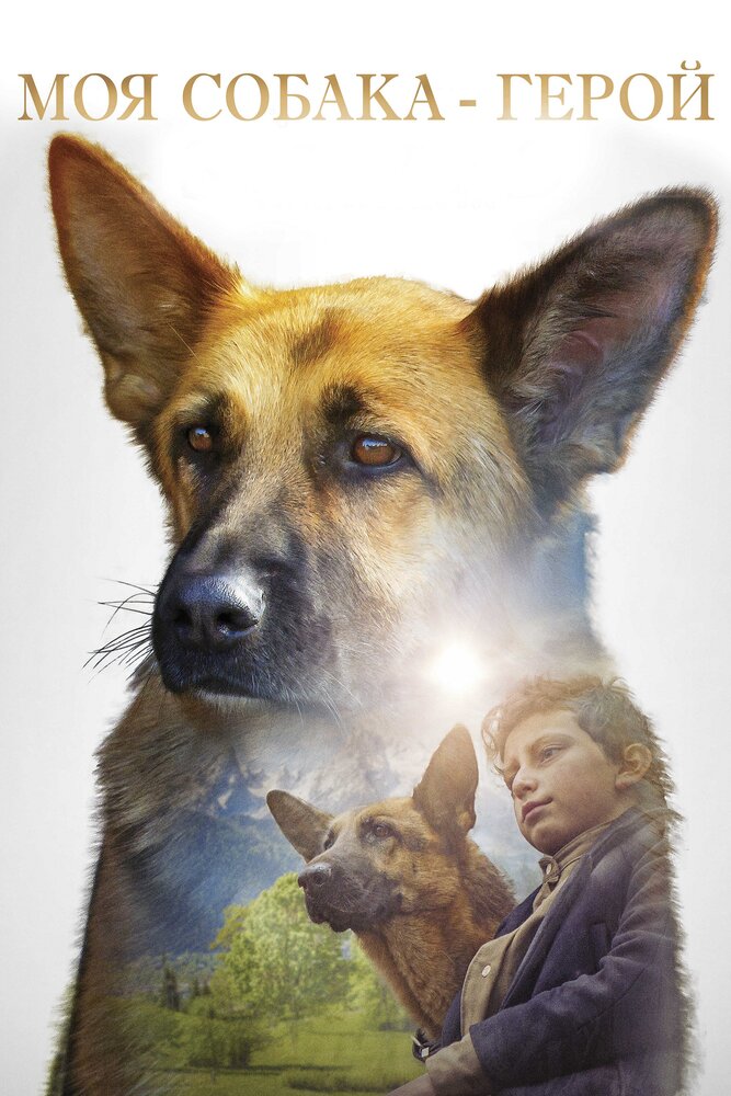 Моя собака — герой (2018) постер