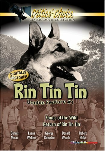 The Return of Rin Tin Tin (1947) постер