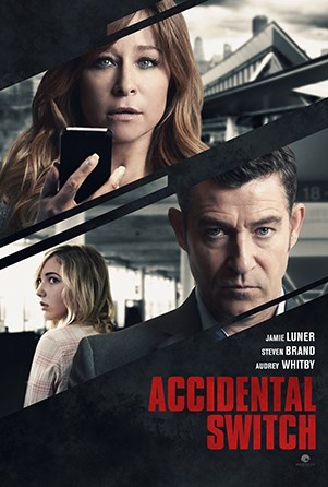 Accidental Switch (2016) постер