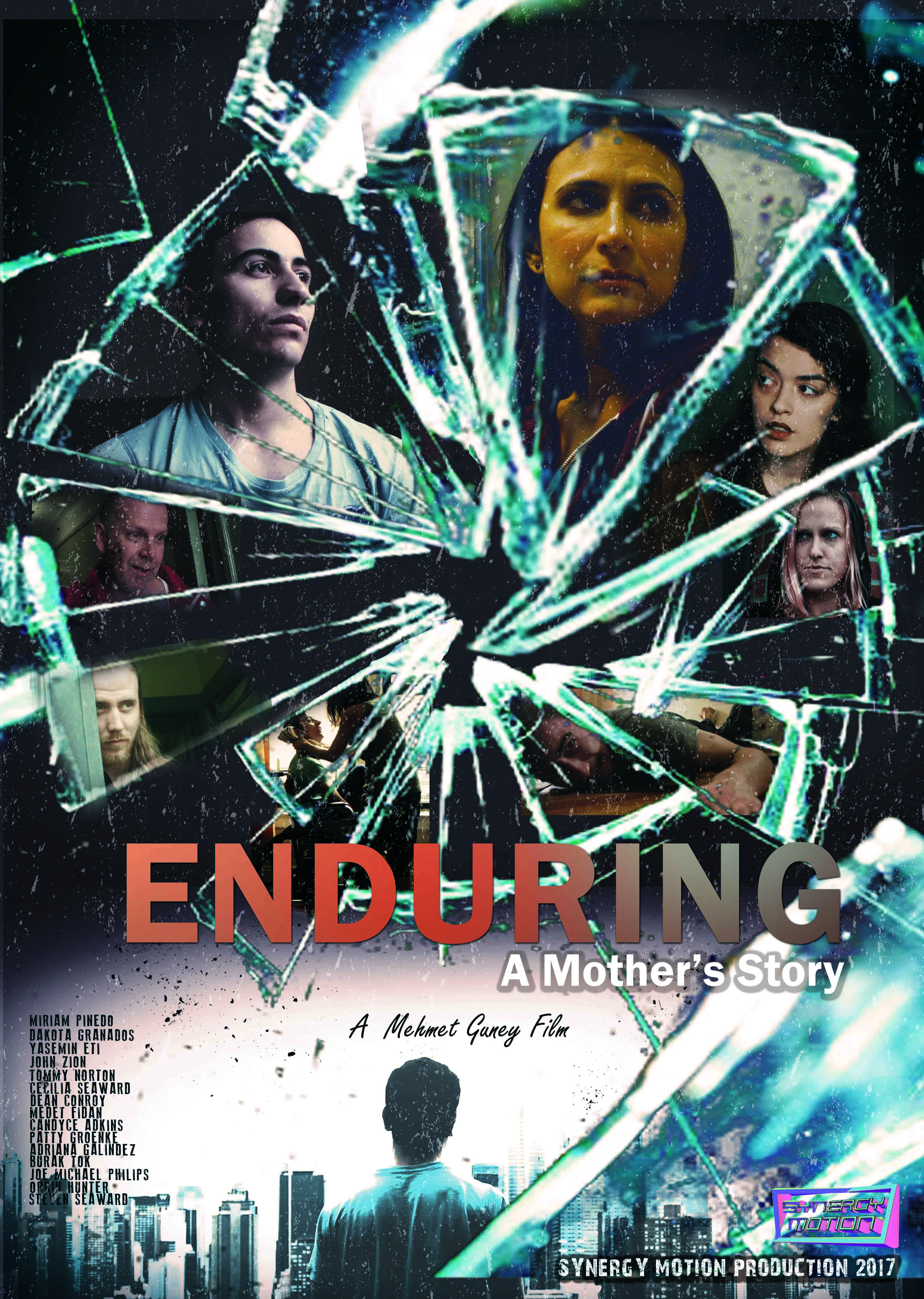 Enduring: A Mother's Story (2017) постер