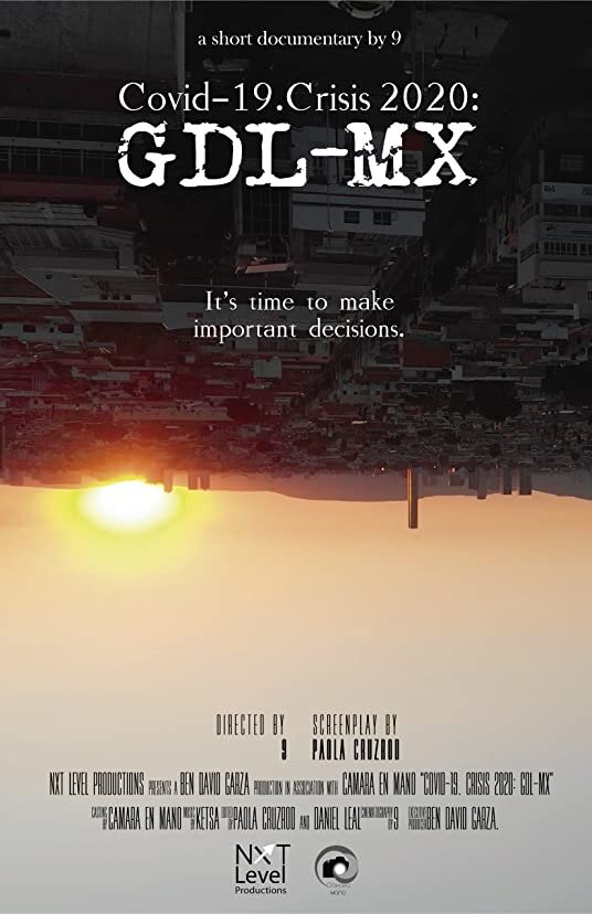 Covid-19.Crisis 2020 GDL-MX (2020) постер