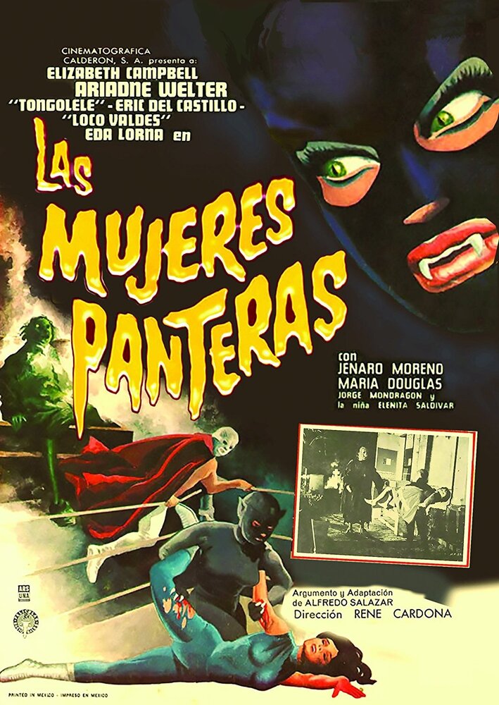 Женщины-пантеры (1967) постер