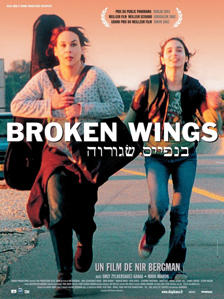 Сломанные крылья (2002) постер