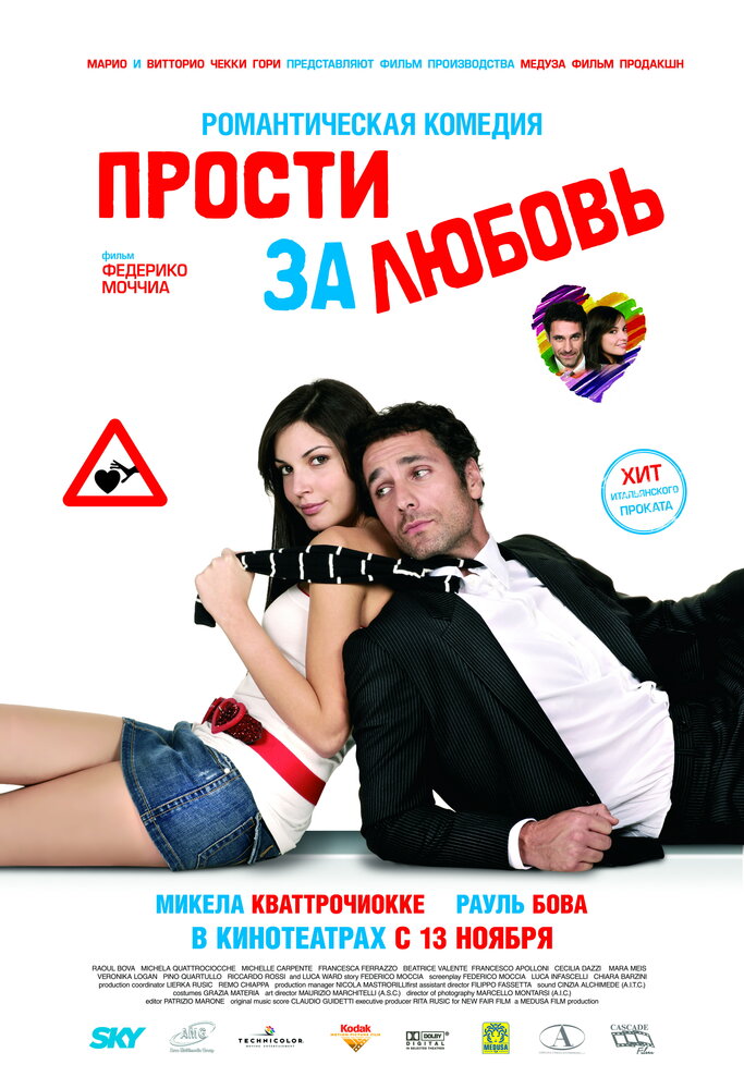 Прости за любовь (2008) постер