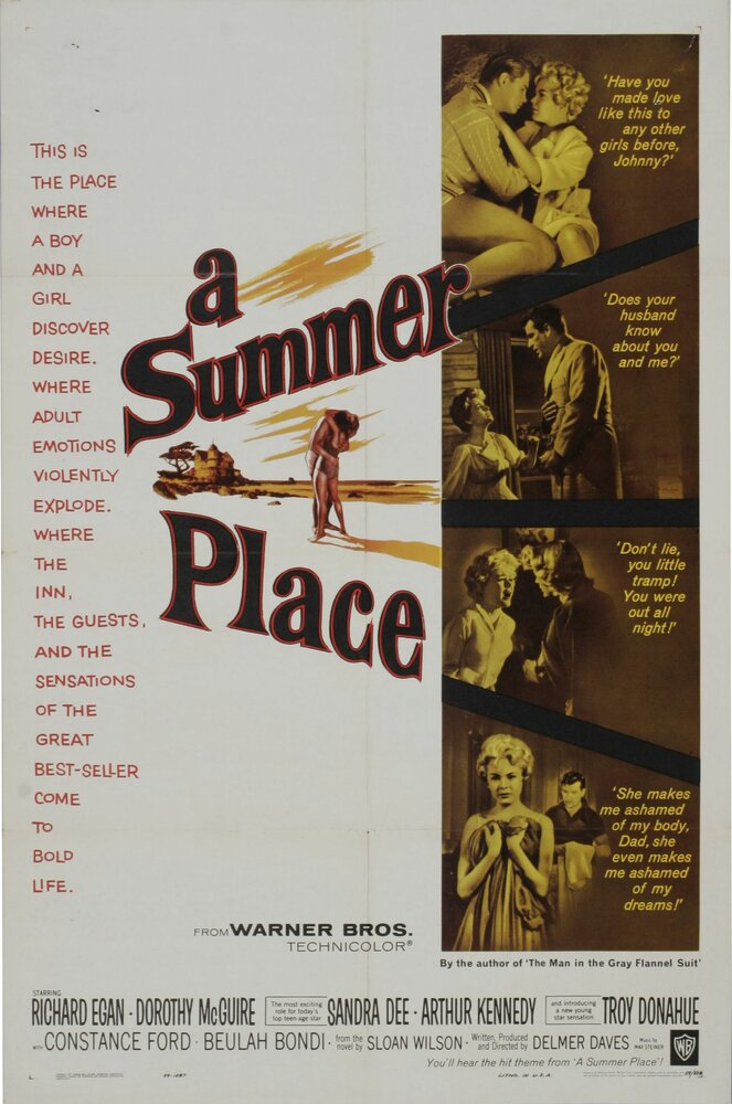 Летнее место (1959) постер