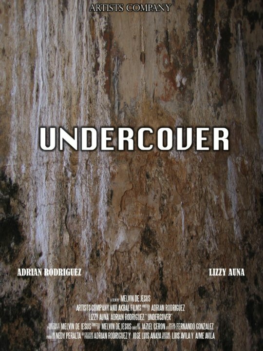Undercover (2014) постер