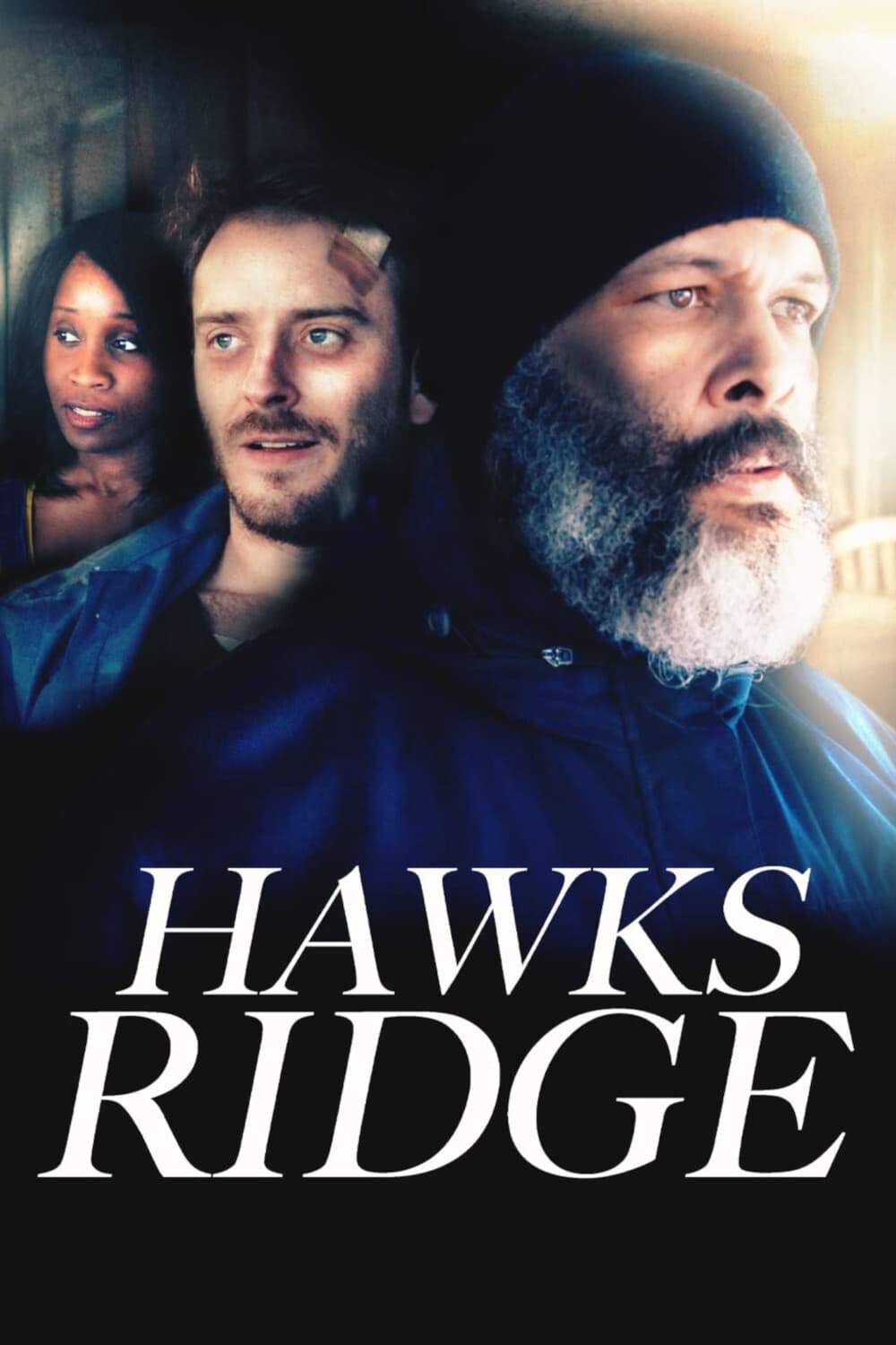 Hawks Ridge (2020) постер