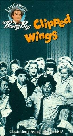 Clipped Wings (1953) постер
