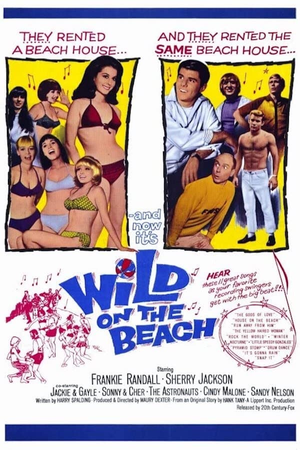 Wild on the Beach (1965) постер