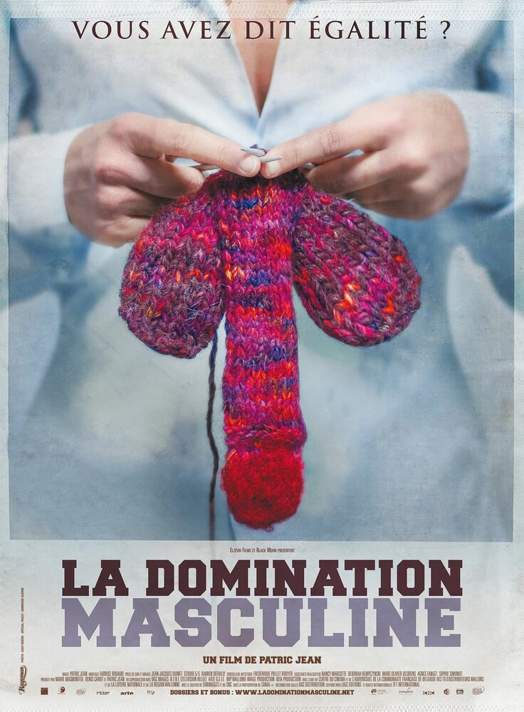 La domination masculine (2009) постер