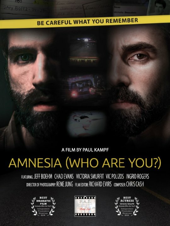 Amnesia: Who Are You? (2014) постер