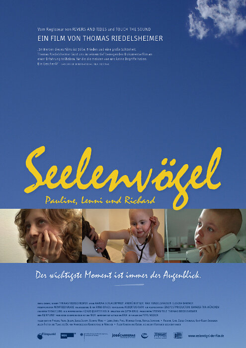 Seelenvögel (2009) постер