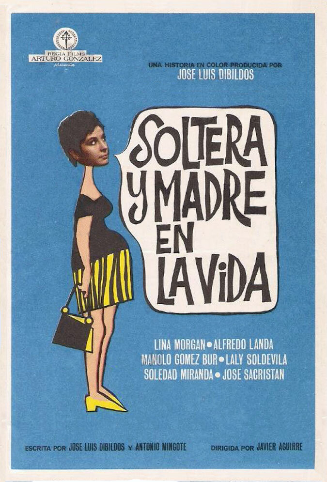 Жизнь матери-одиночки (1969) постер