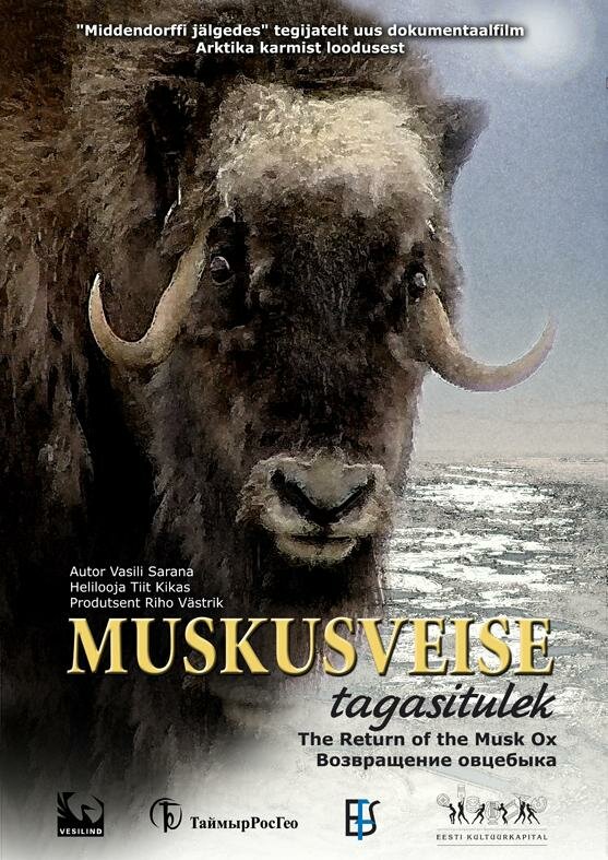 Возвращение овцебыка (2008) постер