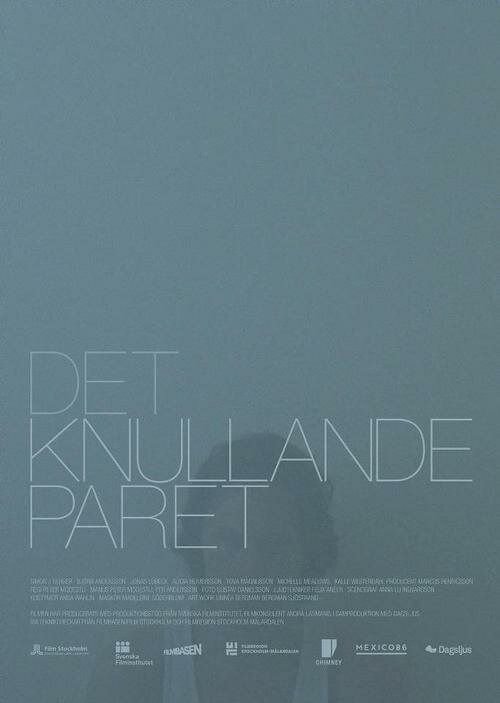 Det knullande paret (2013) постер