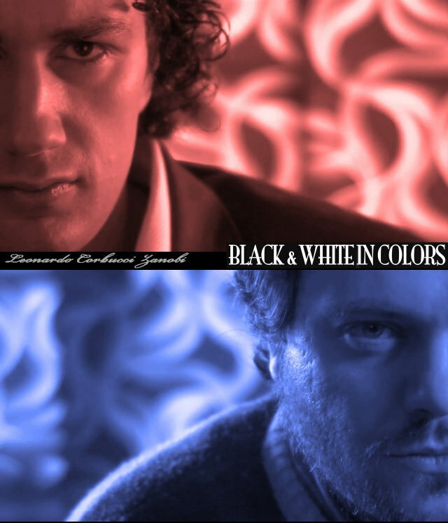 Чёрные и белые в цвете (2012) постер