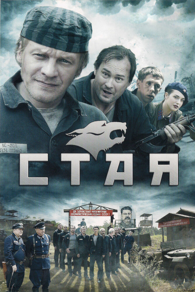 Стая (2009) постер