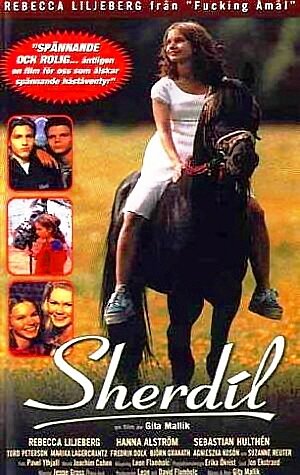 Sherdil (1999) постер