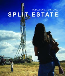 Split Estate (2009) постер