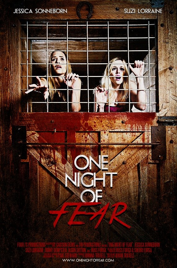 Одна ночь страха (2016) постер
