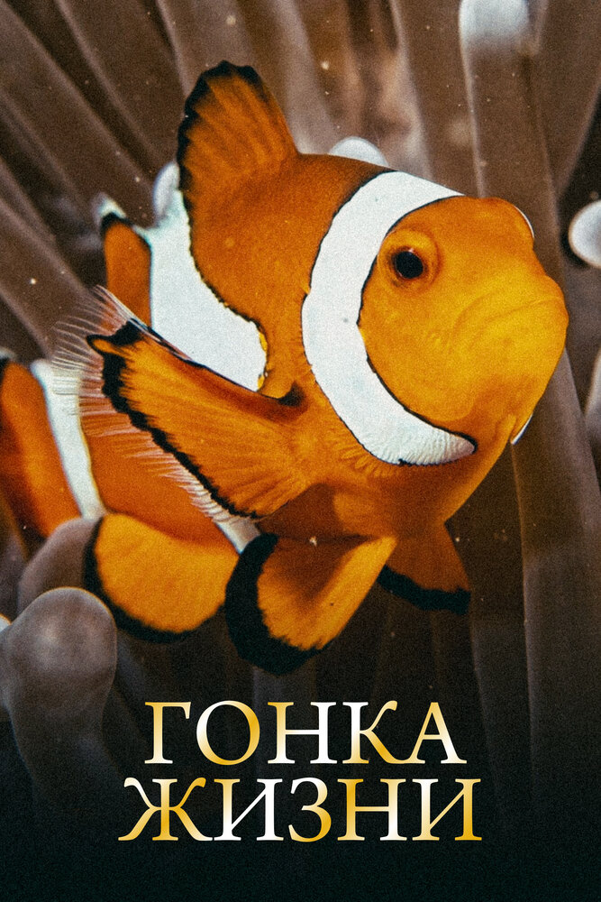 Гонка жизни (2015) постер