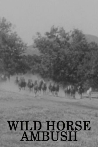 Wild Horse Ambush (1952) постер