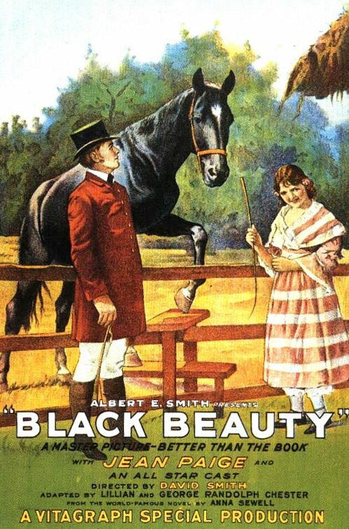Черная красавица (1921) постер