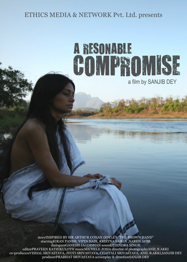 Разумный компромисс (2011) постер