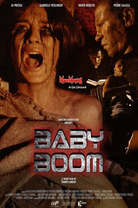 Baby Boom (2009) постер