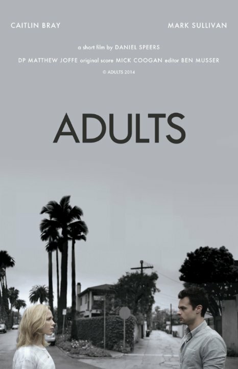Adults (2014) постер