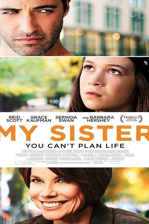 Sister (2014) постер